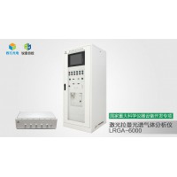 激光拉曼光譜氣體分析儀LRGA-6000